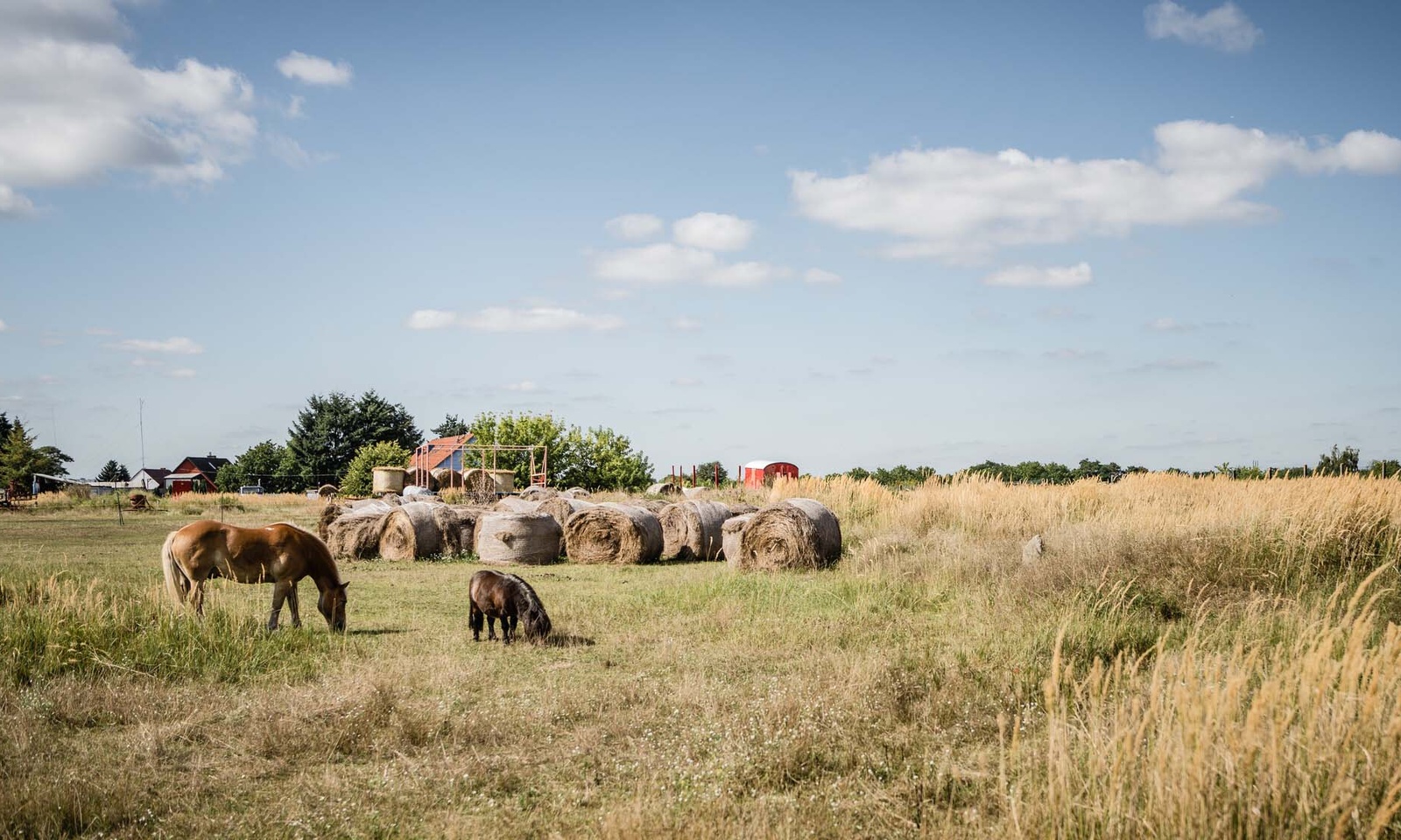 Ruhige Stadtrandlage mit vielen Wiesen und Feldern