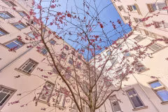 4007345-QtkJEeTz8NTMvrFsu8AE4Li7-02_begrunter_Innenhof
