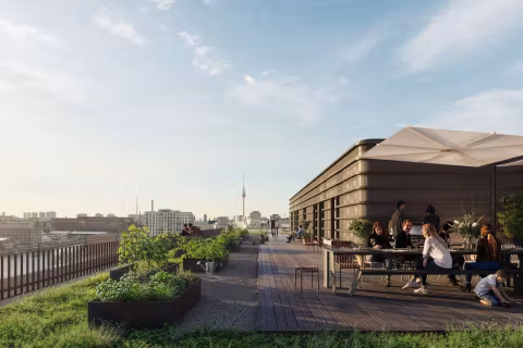 Best_Place_BrooksonEast_Roof_Urban_Gardening
