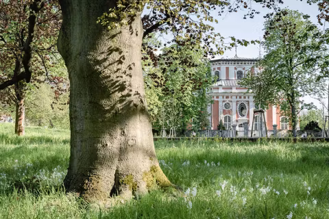 Nur-ein-kurzer-Spaziergang-führt-Sie-in-die-Idylle-des-Schlossparks-Buch_NBK