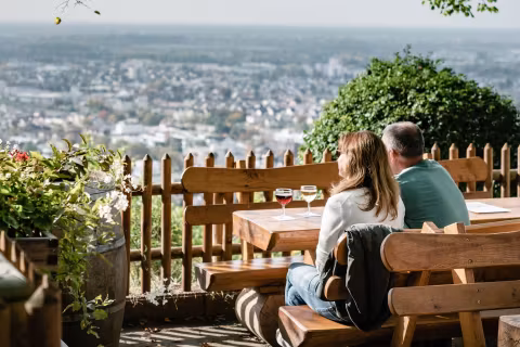 resized_foto-weinberge-bensheim