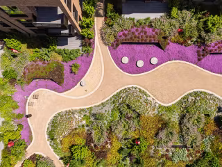 DJI_20260622123237_0011_D