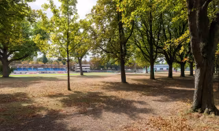 bonava-Umgebung-Ludwigsburg-Sportanlage-Fuchshofstrasse_1600x960