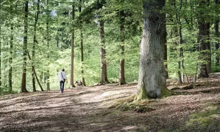 foto-joggingrunde-biesenthal_1600x960