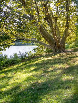 im Lietzenseepark_2