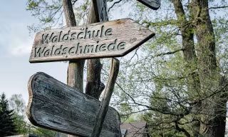 Im-Wohnquartier-Waldpanorama-finden-Sie-ein-Zuhause-zwischen-Stadtleben-und-Natur_NBK
