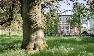 Nur-ein-kurzer-Spaziergang-führt-Sie-in-die-Idylle-des-Schlossparks-Buch_NBK